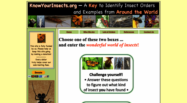 knowyourinsects.org