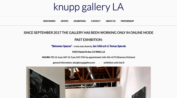 knuppgalleryla.com