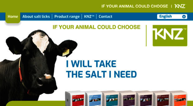 knzsalt.com