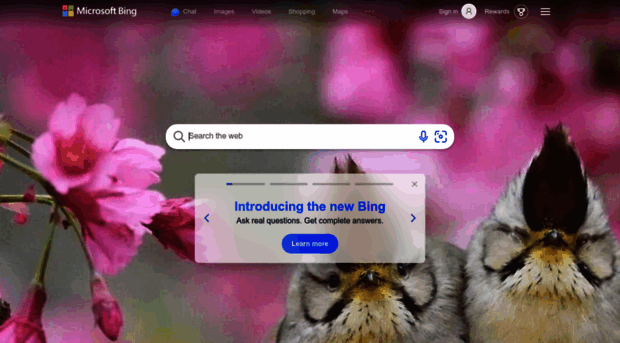 ko.bing.com