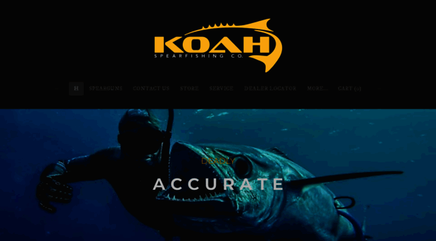 koahspearguns.com