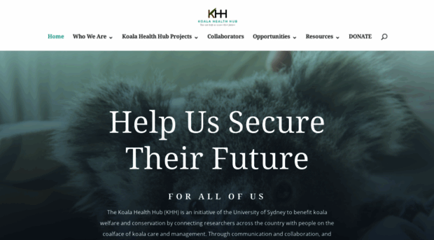 koalahealthhub.org.au