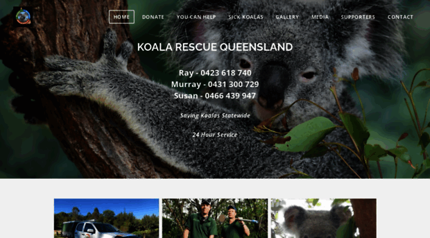 koalarescueqld.org