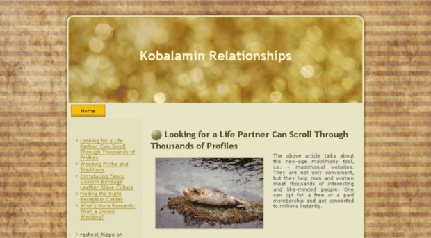kobalamin.com