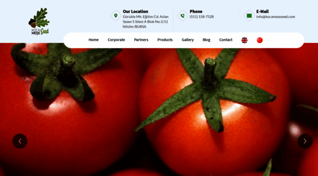 kocameseseed.com