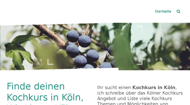 kochkurs-koeln.net