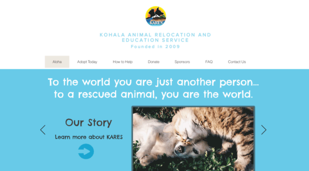 kohalaanimal.org