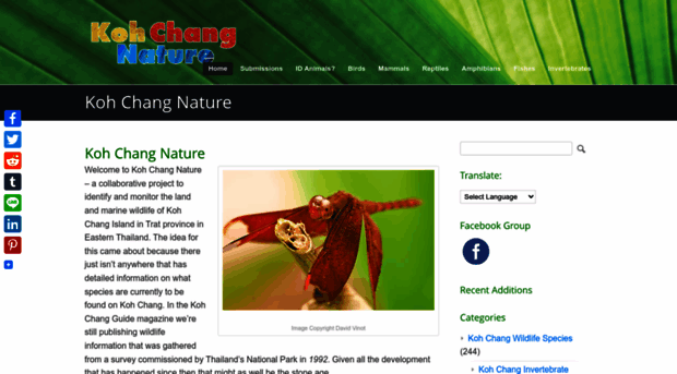 kohchangnature.com