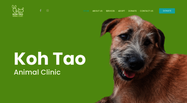 kohtaoanimalclinic.org