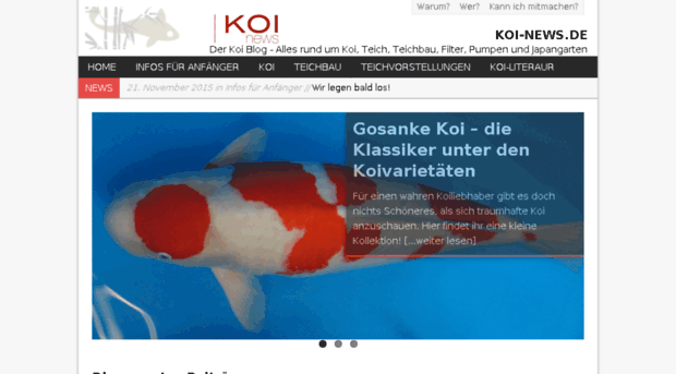 koi-news.de