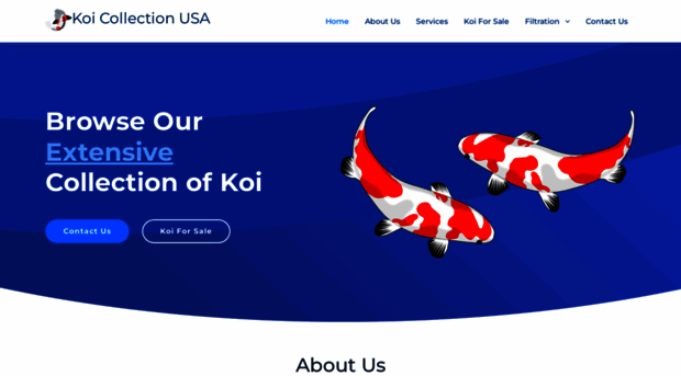 koicollectionusa.com