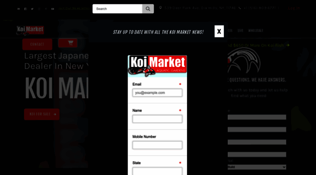 koimarket.com