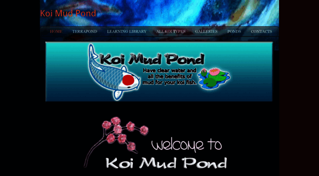 koimudpond.com