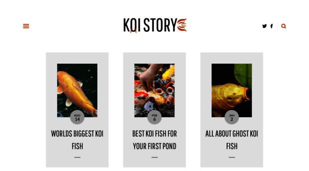 koistory.com