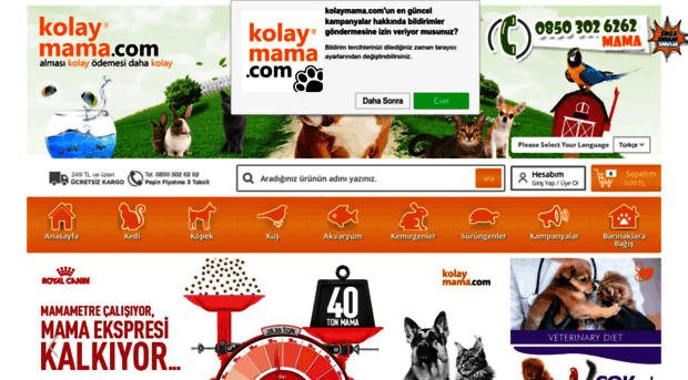 kolaymama.net