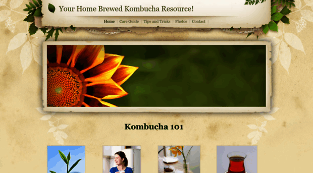 kombuchacare.weebly.com