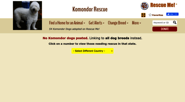 komondor.rescueme.org