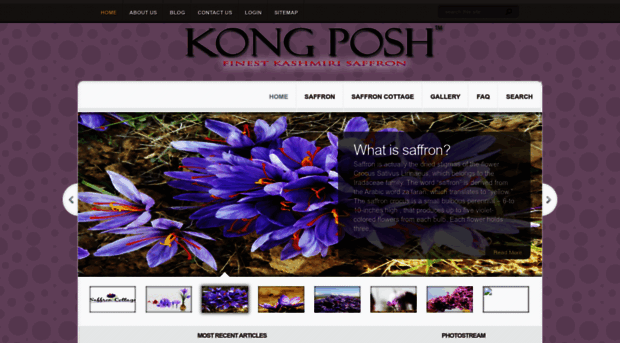 kong-posh.com