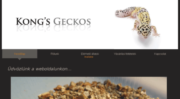 kongsgeckos.com