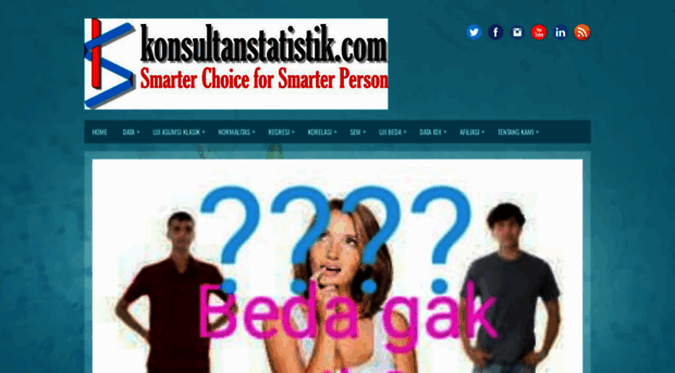 konsultanstatistik.com