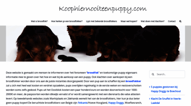 koophiernooiteenpuppy.com