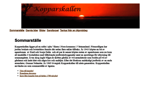 kopparskallen.net