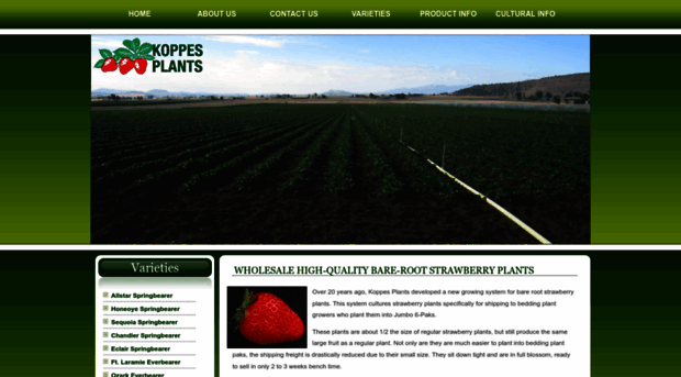 koppesstrawberryplants.com