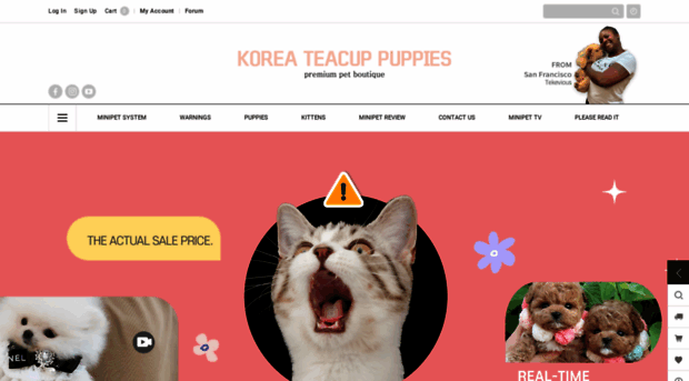 koreateacuppuppies.com