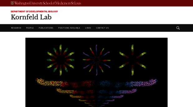 kornfeldlab.wustl.edu