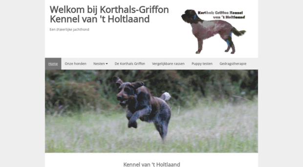 korthals-griffon.nl