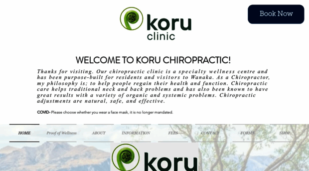 koruchiropractic.co.nz