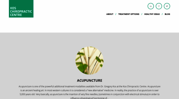 koschiropractic.com