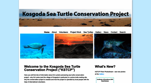 kosgodaseaturtle.org