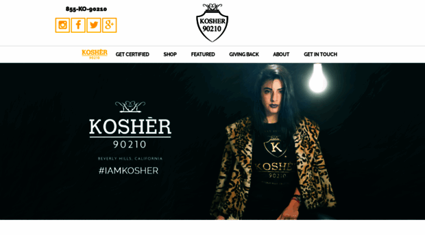 kosher90210.com