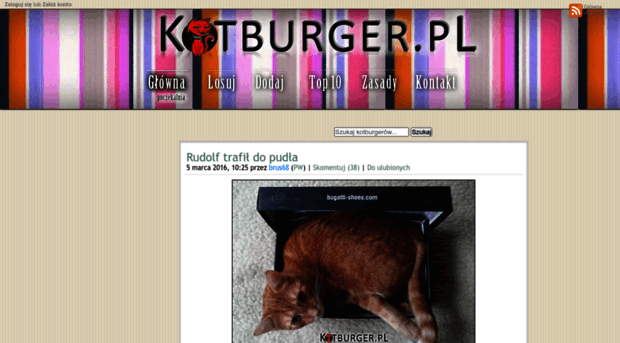 kotburger.pl