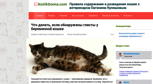 kotikdoma.com