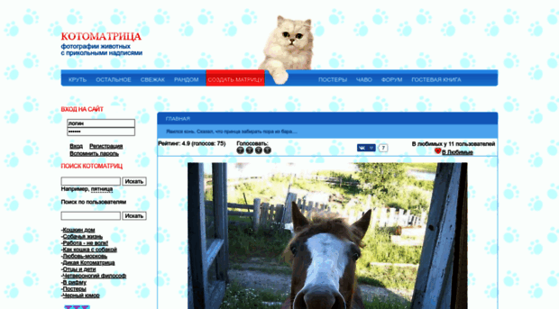 kotomatrix.ru