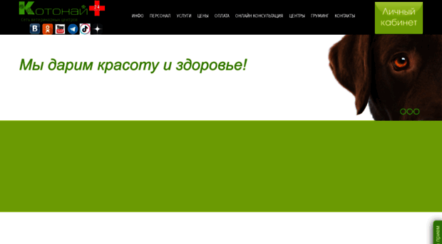 kotonay.ru