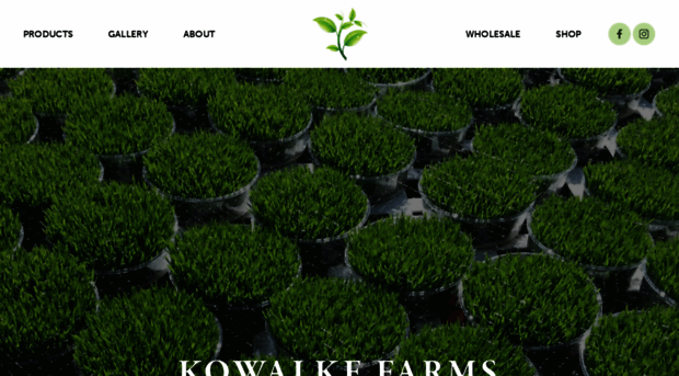 kowalkefarms.com