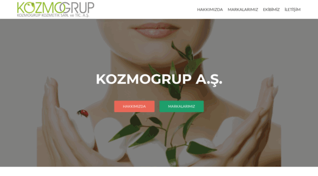 kozmogrup.com