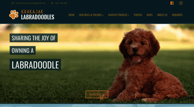krakajaklabradoodles.com.au