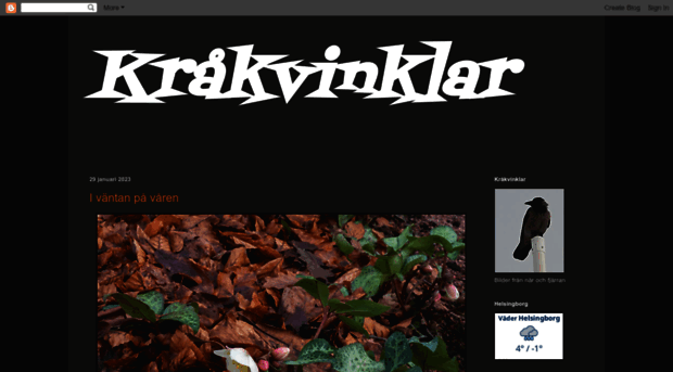 krakvinklar.blogspot.se