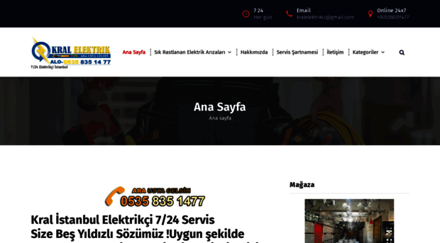 kralelektrik.com