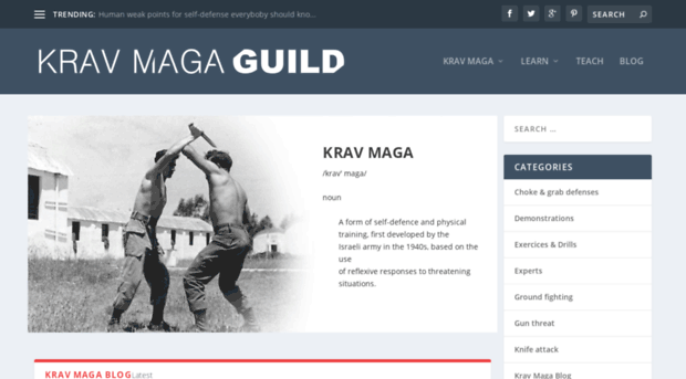 kravmagaguild.com