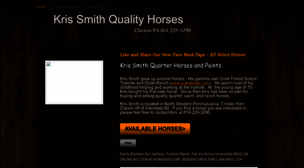 krissmithqualityhorses.com