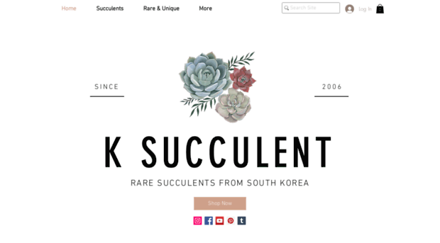 ksucculent.com