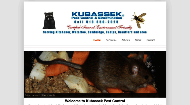 kubassek.ca