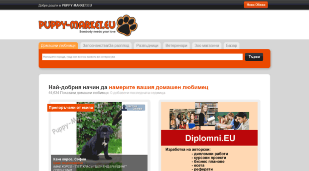kucheta.puppy-market.eu