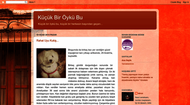 kucukbiroykubu.blogspot.com