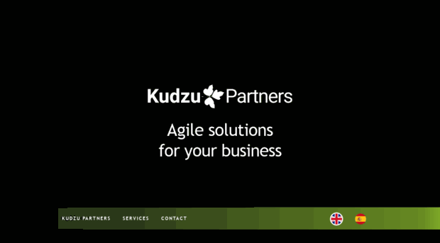 kudzupartners.com